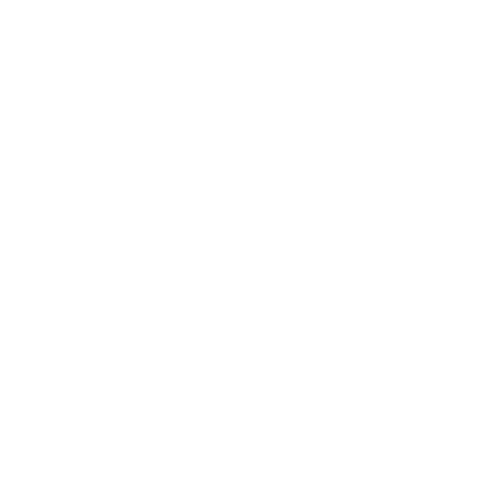SANEKSA